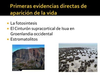 Primeras evidencias directas de aparición de la vidaLa fotosintesisEl Cinturón supracortical de Isua en Groenlandia occidentalEstromatolitos