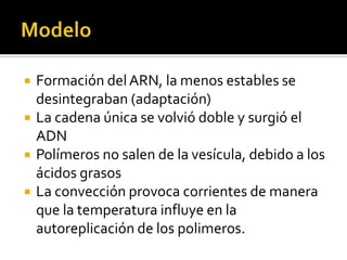 ModeloFormación del ARN, la menos estables se desintegraban (adaptación)La cadena única se volvió doble y surgió el ADNPolímeros no salen de la vesícula, debido a los ácidos grasosLa convección provoca corrientes de manera que la temperatura influye en la autoreplicación de los polimeros.