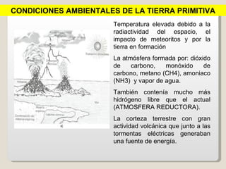 CONDICIONES AMBIENTALES DE LA TIERRA PRIMITIVA
                       Temperatura elevada debido a la
                       radiactividad del espacio, el
                       impacto de meteoritos y por la
                       tierra en formación
                       La atmósfera formada por: dióxido
                       de    carbono,   monóxido      de
                       carbono, metano (CH4), amoniaco
                       (NH3) y vapor de agua.
                       También contenía mucho más
                       hidrógeno libre que el actual
                       (ATMOSFERA REDUCTORA).
                       La corteza terrestre con gran
                       actividad volcánica que junto a las
                       tormentas eléctricas generaban
                       una fuente de energía.
 