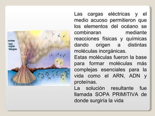 Las cargas eléctricas y el
medio acuoso permitieron que
los elementos del océano se
combinaran             mediante
reacciones físicas y químicas
dando origen a distintas
moléculas inorgánicas.
Estas moléculas fueron la base
para formar moléculas más
complejas esenciales para la
vida como el ARN, ADN y
proteínas.
La solución resultante fue
llamada SOPA PRIMITIVA de
donde surgiría la vida
 