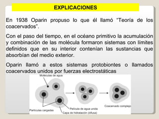 EXPLICACIONES

En 1938 Oparin propuso lo que él llamó “Teoría de los
coacervados”.
Con el paso del tiempo, en el océano primitivo la acumulación
y combinación de las molécula formaron sistemas con límites
definidos que en su interior contenían las sustancias que
absorbían del medio exterior.
Oparin llamó a estos sistemas protobiontes o llamados
coacervados unidos por fuerzas electrostáticas
 