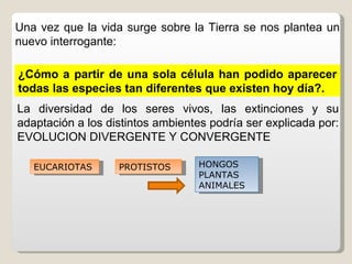 Una vez que la vida surge sobre la Tierra se nos plantea un
nuevo interrogante:

¿Cómo a partir de una sola célula han podido aparecer
todas las especies tan diferentes que existen hoy día?.
La diversidad de los seres vivos, las extinciones y su
adaptación a los distintos ambientes podría ser explicada por:
EVOLUCION DIVERGENTE Y CONVERGENTE

   EUCARIOTAS      PROTISTOS      HONGOS
                                  PLANTAS
                                  ANIMALES
 
