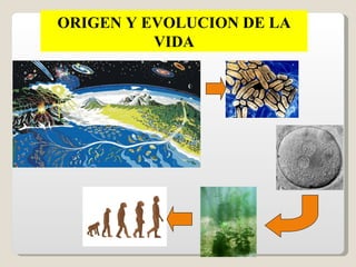 ORIGEN Y EVOLUCION DE LA
          VIDA
 