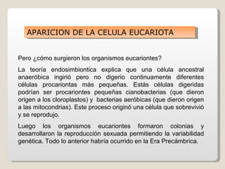 APARICION DE LA CELULA EUCARIOTA


Pero ¿cómo surgieron los organismos eucariontes?
La teoría endosimbiontica explica que una célula ancestral
anaeróbica ingirió pero no digerio continuamente diferentes
células procariontas más pequeñas. Estás células digeridas
podrían ser procariontes pequeñas cianobacterias (que dieron
origen a los cloroplastos) y bacterias aeróbicas (que dieron origen
a las mitocondrias). Este proceso originó una célula que sobrevivió
y se reprodujo.
Luego los organismos eucariontes formaron colonias y
desarrollaron la reproducción sexuada permitiendo la variabilidad
genética. Todo lo anterior habría ocurrido en la Era Precámbrica.
 