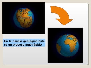 En la escala geológica éste
es un proceso muy rápido
 