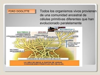 FORD DOOLITTE   Todos los organismos vivos provienen
                de una comunidad ancestral de
                células primitivas diferentes que han
                evolucionado paralelamente
 