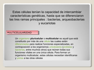 Estas células tenían la capacidad de intercambiar
  características genéticas, hasta que se diferenciaron
 las tres ramas principales : bacterias, arqueobacterias
                       y eucariotas

MULTICELULARIDAD

     Un organismo pluricelular o multicelular es aquél que está
     constituido por más de una célula las cuales están
     diferenciadas para realizar funciones especializadas, en
     contraposición a los organismos unicelulares (protistas y
     bacterias, entre muchos otros) que reúnen todas sus
     funciones vitales en una única célula. Para formar un
     organismo multicelular, estas células necesitan identificarse
     y unirse a las otras células
 