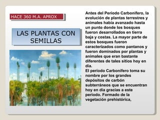 Antes del Período Carbonífero, la
HACE 360 M.A. APROX   evolución de plantas terrestres y
                      animales había avanzado hasta
                      un punto donde los bosques
  LAS PLANTAS CON     fueron desarrollados en tierra
                      baja y costas. La mayor parte de
      SEMILLAS        estos bosques fueron
                      caracterizados como pantanos y
                      fueron dominados por plantas y
                      animales que eran bastante
                      diferentes de tales sitios hoy en
                      día.
                      El período Carbonífero toma su
                      nombre por los grandes
                      depósitos de carbón
                      subterráneos que se encuentran
                      hoy en día gracias a este
                      periodo. Formado de la
                      vegetación prehistórica,
 