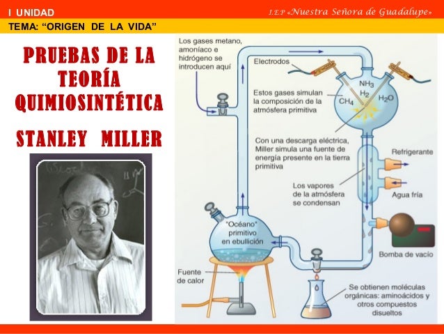 Teoria Del Tutto Pdf Converter