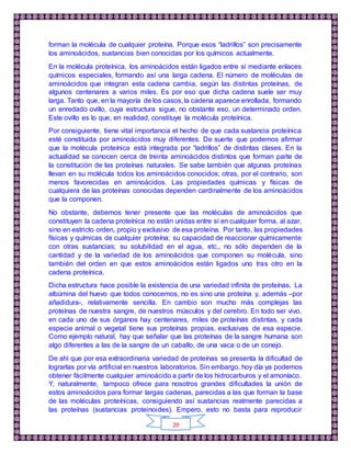 29
forman la molécula de cualquier proteína. Porque esos “ladrillos” son precisamente
los aminoácidos, sustancias bien conocidas por los químicos actualmente.
En la molécula proteínica, los aminoácidos están ligados entre sí mediante enlaces
químicos especiales, formando así una larga cadena. El número de moléculas de
aminoácidos que integran esta cadena cambia, según las distintas proteínas, de
algunos centenares a varios miles. Es por eso que dicha cadena suele ser muy
larga. Tanto que, en la mayoría de los casos, la cadena aparece enrollada, formando
un enredado ovillo, cuya estructura sigue, no obstante eso, un determinado orden.
Este ovillo es lo que, en realidad, constituye la molécula proteínica.
Por consiguiente, tiene vital importancia el hecho de que cada sustancia proteínica
esté constituida por aminoácidos muy diferentes. De suerte que podemos afirmar
que la molécula proteínica está integrada por “ladrillos” de distintas clases. En la
actualidad se conocen cerca de treinta aminoácidos distintos que forman parte de
la constitución de las proteínas naturales. Se sabe también que algunas proteínas
llevan en su molécula todos los aminoácidos conocidos; otras, por el contrario, son
menos favorecidas en aminoácidos. Las propiedades químicas y físicas de
cualquiera de las proteínas conocidas dependen cardinalmente de los aminoácidos
que la componen.
No obstante, debemos tener presente que las moléculas de aminoácidos que
constituyen la cadena proteínica no están unidas entre sí en cualquier forma, al azar,
sino en estricto orden, propio y exclusivo de esa proteína. Por tanto, las propiedades
físicas y químicas de cualquier proteína; su capacidad de reaccionar químicamente
con otras sustancias; su solubilidad en el agua, etc., no sólo dependen de la
cantidad y de la variedad de los aminoácidos que componen su molécula, sino
también del orden en que estos aminoácidos están ligados uno tras otro en la
cadena proteínica.
Dicha estructura hace posible la existencia de una variedad infinita de proteínas. La
albúmina del huevo que todos conocemos, no es sino una proteína y, además –por
añadidura-, relativamente sencilla. En cambio son mucho más complejas las
proteínas de nuestra sangre, de nuestros músculos y del cerebro. En todo ser vivo,
en cada uno de sus órganos hay centenares, miles de proteínas distintas, y cada
especie animal o vegetal tiene sus proteínas propias, exclusivas de esa especie.
Como ejemplo natural, hay que señalar que las proteínas de la sangre humana son
algo diferentes a las de la sangre de un caballo, de una vaca o de un conejo.
De ahí que por esa extraordinaria variedad de proteínas se presenta la dificultad de
lograrlas por vía artificial en nuestros laboratorios. Sin embargo, hoy día ya podemos
obtener fácilmente cualquier aminoácido a partir de los hidrocarburos y el amoníaco.
Y, naturalmente, tampoco ofrece para nosotros grandes dificultades la unión de
estos aminoácidos para formar largas cadenas, parecidas a las que forman la base
de las moléculas proteínicas, consiguiendo así sustancias realmente parecidas a
las proteínas (sustancias proteinoides). Empero, esto no basta para reproducir
 