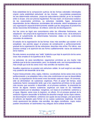 54
Esta estabilidad de la composición química de las formas coloidales individuales
originó cierta estabilidad estructural de las mismas. Las proteínas poseedoras
de una determinada estructura, propia de cada sistema coloidal, ya no se mezclan
entre sí al azar, sino con precisa regularidad. Por esa razón, en el proceso evolutivo
de los coacervados primitivos, su estructura inestable, fugaz, demasiado
dependientes de las influencias accidentales del ambiente, debió remplazarse por
una organización espacial dinámicamente estable que les asegurase el predominio
de las reacciones fermentativas de síntesis sobre las de desintegración.
Así fue como se logró esa concordancia entre los diferentes fenómenos, esa
adaptación –tan propia de la organización de todos los seres vivos- de la estructura
interna al cumplimiento de determinadas funciones vitales en las condiciones
concretas de existencia.
El estudio de la organización de las formas vivas más sencillas que existen en la
actualidad, nos permite seguir el proceso de complicación y perfeccionamiento
gradual de la organización de las estructuras descritas más arriba. Por último, ese
proceso condujo a la aparición de una forma cualitativamente nueva de existencia
de la materia.
De esta manera se produjo ese “salto” dialéctico que trajo la aparición de los seres
vivos más simples en la superficie de la Tierra.
La estructura de esos sencillísimos organismos primitivos ya era mucho más
perfecta que la de los coacervados, pero, no obstante esto, era incomparablemente
más simple que la de los seres vivos más sencillos de nuestros días.
Aquellos organismos no poseían aún estructura celular, la cual surgió en una etapa
muy posterior del desarrollo de la vida.
Fueron transcurriendo años, siglos, milenios. La estructura de los seres vivos se iba
perfeccionando y se adaptaba más y más a las condiciones en que se desarrollaba
la vida. La organización de los seres vivos iba siendo cada vez mayor. Al comienzo,
sólo se alimentaban de sustancias orgánicas. Pero al pasar del tiempo, esas
sustancias fueron escaseando tanto que a los organismos primitivos no les quedó
más recurso que sucumbir o desarrollar, en el proceso evolutivo, la propiedad de
formar de alguna manera sustancias orgánicas con base en los materiales
proporcionados por la naturaleza inorgánica, con base en el anhídrido carbónico y
el agua. Algunos seres vivos lo lograron, en efecto. En el proceso gradual de la
evolución lograron desarrollar la facilidad de absorber energía de los rayos solares,
de descomponer el anhídrido carbónico con ayuda de esa energía y de aprovechar
el carbono así logrado para formar en su cuerpo sustancias orgánicas. De este
modo aparecieron las plantas más sencillas, las algas cianofíceas, cuyos restos
pueden encontrarse en sedimentos muy antiguos de la corteza terrestre.
 