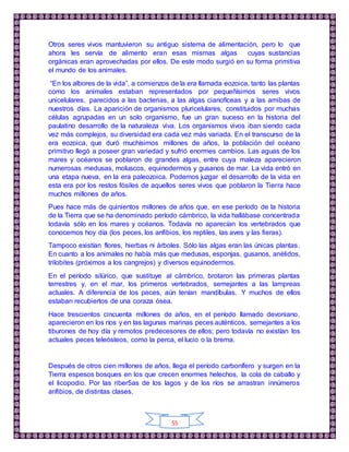 55
Otros seres vivos mantuvieron su antiguo sistema de alimentación, pero lo que
ahora les servía de alimento eran esas mismas algas cuyas sustancias
orgánicas eran aprovechadas por ellos. De este modo surgió en su forma primitiva
el mundo de los animales.
“En los albores de la vida”, a comienzos de la era llamada eozoica, tanto las plantas
como los animales estaban representados por pequeñísimos seres vivos
unicelulares, parecidos a las bacterias, a las algas cianofíceas y a las amibas de
nuestros días. La aparición de organismos pluricelulares, constituidos por muchas
células agrupadas en un solo organismo, fue un gran suceso en la historia del
paulatino desarrollo de la naturaleza viva. Los organismos vivos iban siendo cada
vez más complejos, su diversidad era cada vez más variada. En el transcurso de la
era eozoica, que duró muchísimos millones de años, la población del océano
primitivo llegó a poseer gran variedad y sufrió enormes cambios. Las aguas de los
mares y océanos se poblaron de grandes algas, entre cuya maleza aparecieron
numerosas medusas, moluscos, equinodermos y gusanos de mar. La vida entró en
una etapa nueva, en la era paleozoica. Podemos juzgar el desarrollo de la vida en
esta era por los restos fósiles de aquellos seres vivos que poblaron la Tierra hace
muchos millones de años.
Pues hace más de quinientos millones de años que, en ese período de la historia
de la Tierra que se ha denominado período cámbrico, la vida hallábase concentrada
todavía sólo en los mares y océanos. Todavía no aparecían los vertebrados que
conocemos hoy día (los peces, los anfibios, los reptiles, las aves y las fieras).
Tampoco existían flores, hierbas ni árboles. Sólo las algas eran las únicas plantas.
En cuanto a los animales no había más que medusas, esponjas, gusanos, anélidos,
trilobites (próximos a los cangrejos) y diversos equinodermos.
En el período silúrico, que sustituye al cámbrico, brotaron las primeras plantas
terrestres y, en el mar, los primeros vertebrados, semejantes a las lampreas
actuales. A diferencia de los peces, aún tenían mandíbulas. Y muchos de ellos
estaban recubiertos de una coraza ósea.
Hace trescientos cincuenta millones de años, en el período llamado devoniano,
aparecieron en los ríos y en las lagunas marinas peces auténticos, semejantes a los
tiburones de hoy día y remotos predecesores de ellos; pero todavía no existían los
actuales peces teleósteos, como la perca, el lucio o la brema.
Después de otros cien millones de años, llega el período carbonífero y surgen en la
Tierra espesos bosques en los que crecen enormes helechos, la cola de caballo y
el licopodio. Por las riber5as de los lagos y de los ríos se arrastran innúmeros
anfibios, de distintas clases.
 