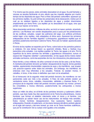 56
Y lo mismo que los peces, estos animales desovaban en el agua. Su piel húmeda y
viscosa se secaba fácilmente al aire, efecto que les impedía alejarse por mucho
tiempo de los depósitos de agua. Pero a fines del período carbonífero aparecen ya
los primeros reptiles. Su piel córnea los preservaba de la desecación, motivo por el
cual ya no estaban ligados a los depósitos de agua y podían diseminarse
ampliamente por tierra firme. Los reptiles ya no desovaban en el agua, sino que
ponían sus huevos en la tierra.
Hace doscientos veinticinco millones de años, se inició un nuevo período, el período
pérmico. Las filicíneas van siendo desplazadas poco a poco por los predecesores
de las coníferas actuales, surgen las palmeras del sagú. Los anfibios primitivos
ceden lugar a los reptiles, más adaptados al clima seco. Aparecen los primeros
antepasados de los “terribles lagartos” o dinosaurios, gigantescos reptiles que en
períodos posteriores dominaron sobre la Tierra. Pero aún no habían aparecido aves
ni fieras.
El reino de los reptiles se expande por la Tierra, sobre todo en los períodos jurásico
y cretáceo. En ese tiempo hacen su aparición árboles, flores y hierbas muy
parecidos a los actuales. Los reptiles pueblan la Tierra, las aguas y el aire. Por la
superficie de la tierra caminan los terribles y gigantescos dinosaurios; surcan el
espacio los “dragones volantes” o pteranodontes; en las aguas de los mares nadan
animales carniceros, como las serpientes de mar, los ictiosaurios y los plesiosaurios.
Hace treinta y cinco millones de años comenzó el reino de las aves y de las fieras.
A mediados del período terciario ya habían desaparecido la mayoría de los grandes
reptiles, apareciendo innumerables especies de aves y de mamíferos, que ocupan
una posición superior entre todos los animales. Sin embargo, los mamíferos de
entonces eran muy diferentes a los actuales. Todavía no existían monos, ni
caballos, ni toros, ni los renos ni elefantes que viven en la actualidad.
En el transcurso de la segunda mitad del período terciario, los mamíferos se van
pareciendo cada vez más a los actuales. A fines de este período existen ya
verdaderos renos, toros, caballos, rinocerontes, elefantes y diversas fieras. Y a
principios de la segunda mitad del período terciario aparecen los monos: primero
los cinocéfalos o monos inferiores, posteriormente los antropoides o monos
superiores.
Hace un millón de años, en el límite de los períodos terciario y cuaternario (último
período, que dura hasta hoy día) aparecieron en la Tierra los pitecántropos, monos
hombres que forman el eslabón intermedio entre el mono y el hombre. Los
pitecántropos ya sabían hacer uso de los instrumentos de trabajo más sencillos.
Estos monos hombres desaparecieron. Sus sucesores fueron nuestros
antepasados. Durante el cuaternario, en los duros tiempos del último período glacial,
en el siglo del mamut y del reno boreal, ya vivía en la Tierra hombres auténticos,
que por la constitución de su cuerpo eran iguales a los actuales.
 