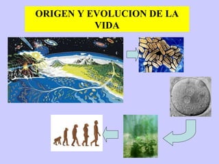 ORIGEN Y EVOLUCION DE LA
VIDA
 