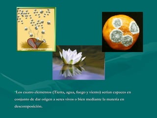 Los cuatro elementos (Tierra, agua, fuego y viento) serían capaces en conjunto de dar origen a seres vivos o bien mediante la materia en descomposición. 
