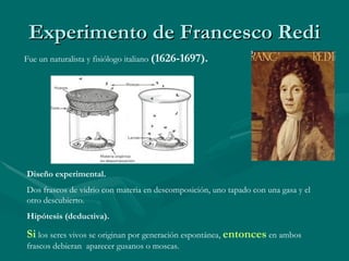 Experimento de Francesco Redi Fue un naturalista y fisiólogo italiano  (1626-1697). Diseño experimental. Dos frascos de vidrio con materia en descomposición, uno tapado con una gasa y el otro descubierto. Hipótesis (deductiva). Si  los seres vivos se originan por generación espontánea,  entonces  en ambos frascos debieran  aparecer gusanos o moscas. 
