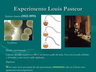 Experimento Louis Pasteur Químico francés  (1822-1895) Levaduras Diseño experimental. Calentar un caldo nutritivo a 100º C en matraz cuello de cisne. Uno con el cuello doblado y obstruido y otro con el cuello quebrado. Hipótesis. Si  los seres vivos provienen de otro preexistente,  entonces   sólo en el frasco roto aparecerán microorganismos. 