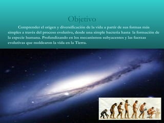Objetivo Comprender el origen y diversificación de la vida a partir de sus formas más simples a través del proceso evolutivo, desde una simple bacteria hasta  la formación de la especie humana. Profundizando en los mecanismos subyacentes y las fuerzas evolutivas que moldearon la vida en la Tierra.   