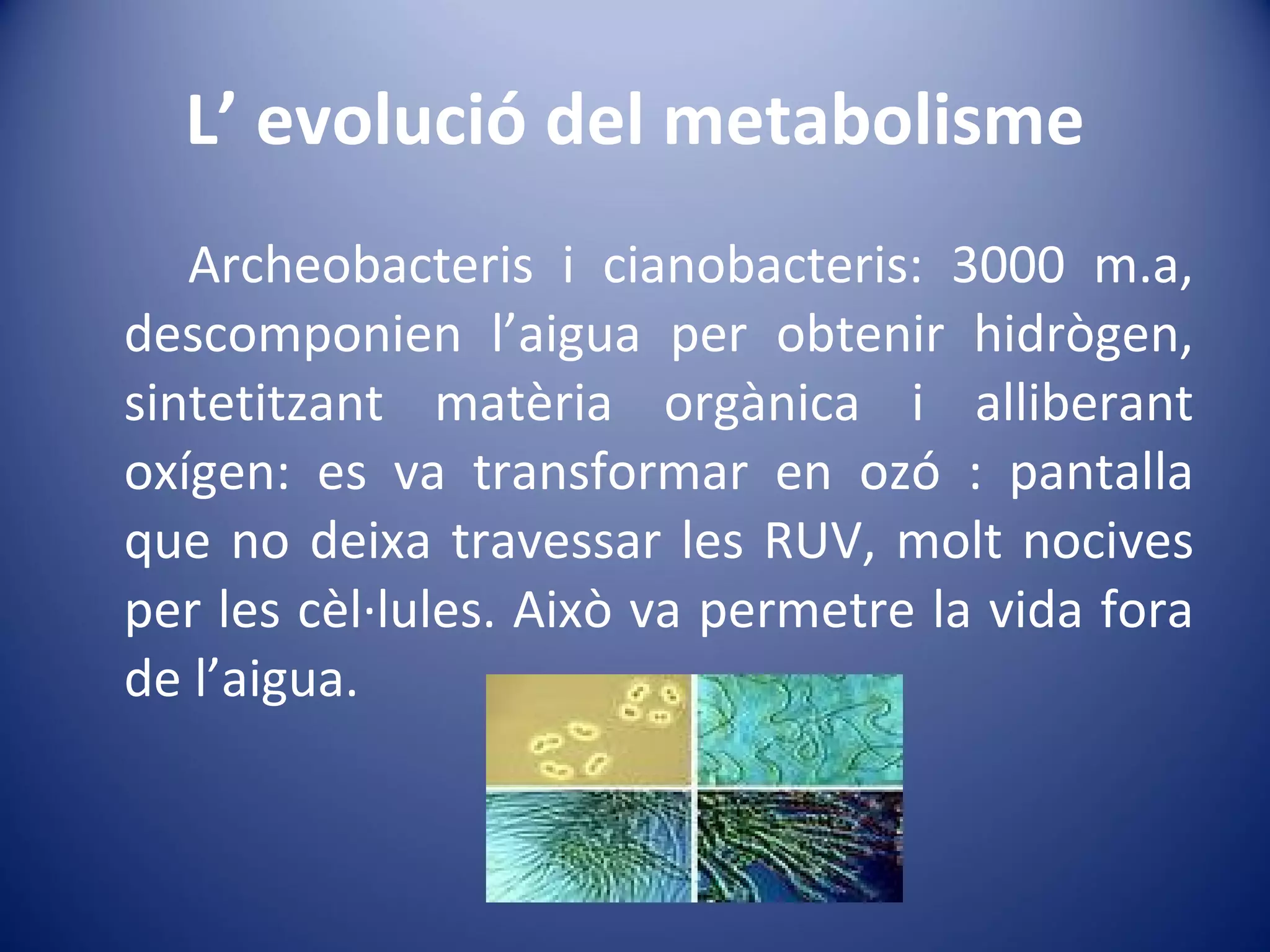 L’ evolució del metabolisme Archeobacteris i cianobacteris: 3000 m.a, descomponien l’aigua per obtenir hidrògen, sintetitzant matèria orgànica i alliberant oxígen: es va transformar en ozó : pantalla que no deixa travessar les RUV, molt nocives per les cèl·lules. Això va permetre la vida fora de l’aigua.  