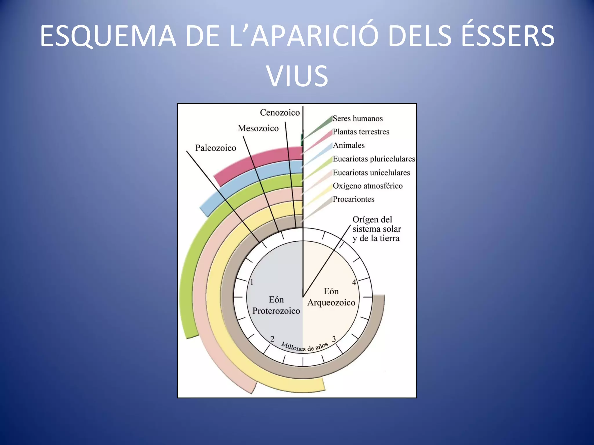 ESQUEMA DE L’APARICIÓ DELS ÉSSERS VIUS 