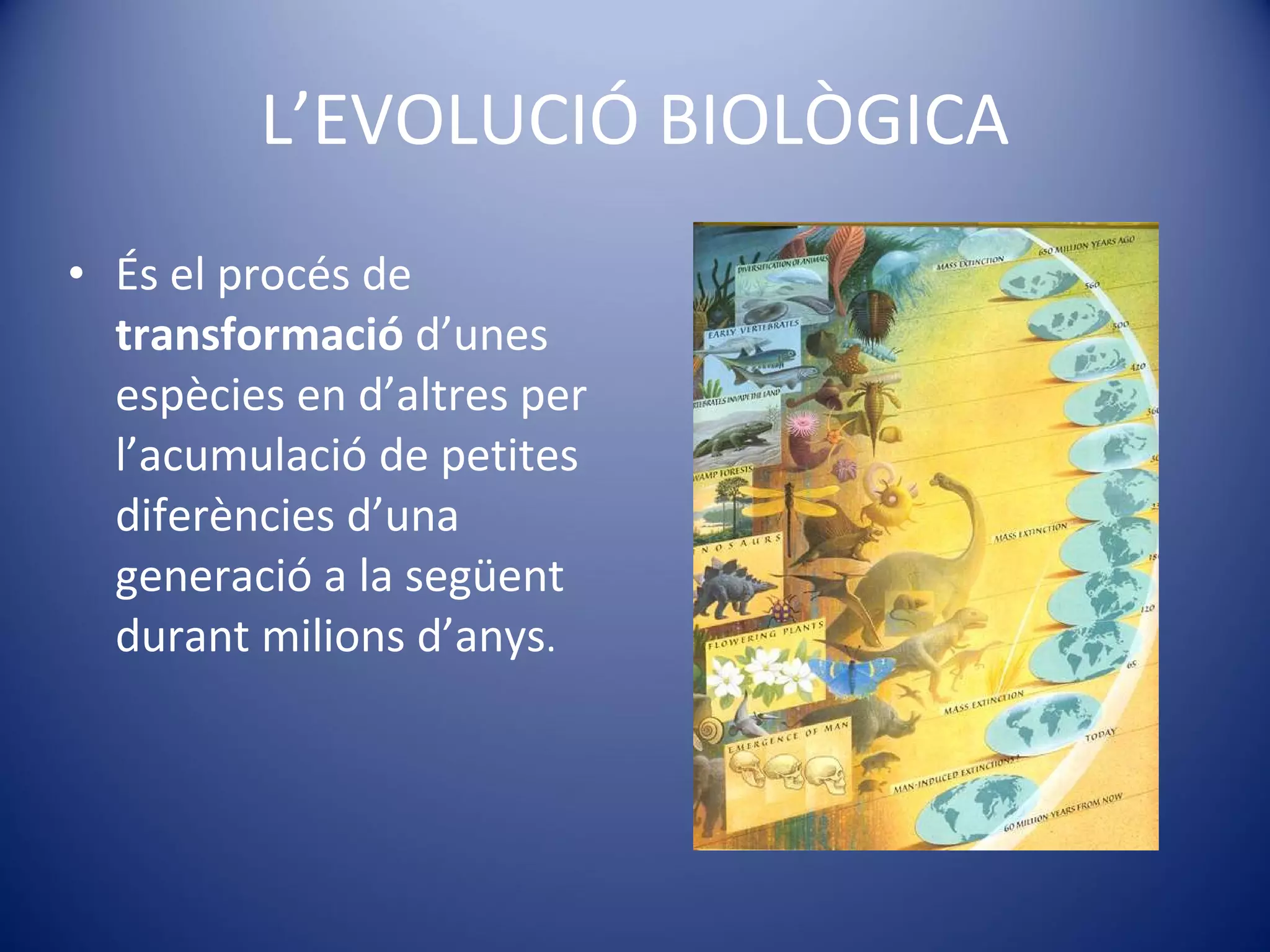 L’EVOLUCIÓ BIOLÒGICA És el procés de  transformació  d’unes espècies en d’altres per l’acumulació de petites diferències d’una generació a la següent durant milions d’anys . 