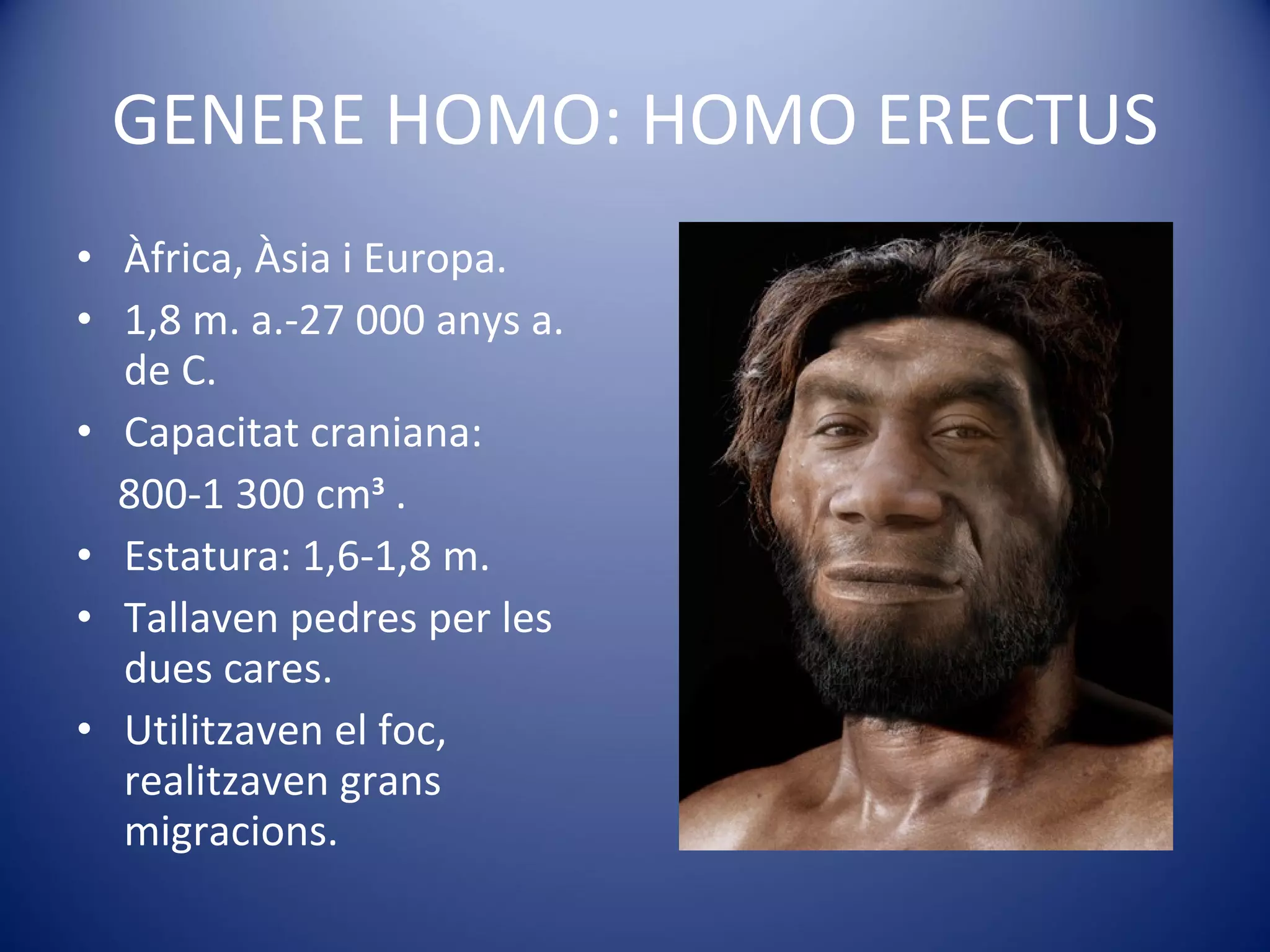 GENERE HOMO: HOMO ERECTUS Àfrica, Àsia i Europa. 1,8 m. a.-27 000 anys a. de C. Capacitat craniana:  800-1 300 cm 3  . Estatura: 1,6-1,8 m. Tallaven pedres per les dues cares. Utilitzaven el foc, realitzaven grans migracions. 