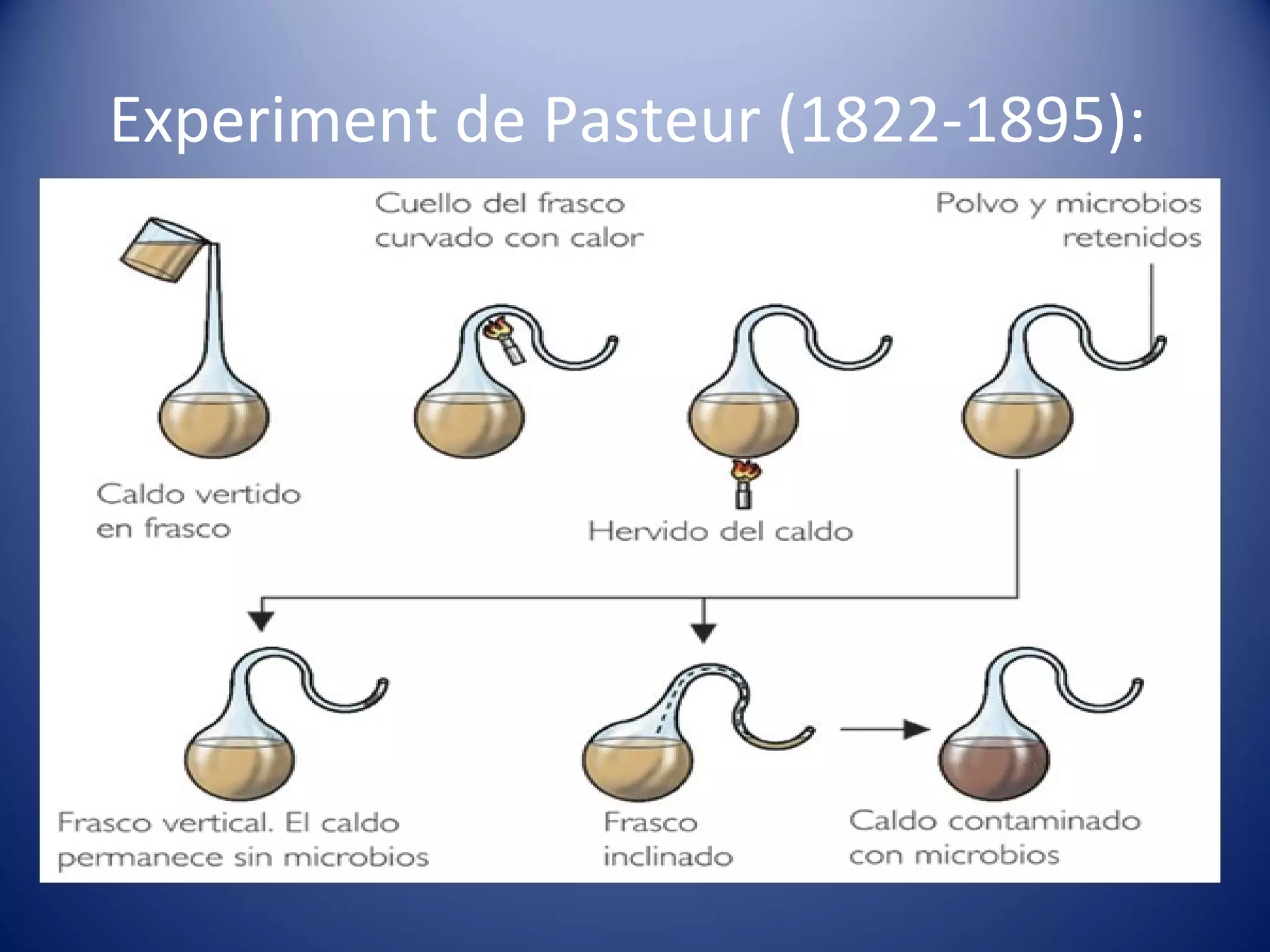 Experiment de Pasteur (1822-1895):  