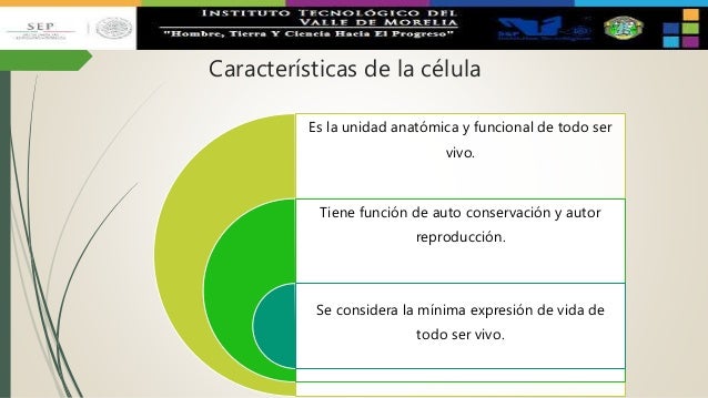 Origen de la vida, celula procariota y eucariota
