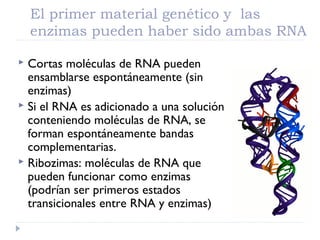 El primer material genético y las
enzimas pueden haber sido ambas RNA
 Cortas moléculas de RNA pueden
ensamblarse espontáneamente (sin
enzimas)
 Si el RNA es adicionado a una solución
conteniendo moléculas de RNA, se
forman espontáneamente bandas
complementarias.
 Ribozimas: moléculas de RNA que
pueden funcionar como enzimas
(podrían ser primeros estados
transicionales entre RNA y enzimas)
 