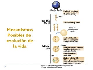 Mecanismos
Posibles de
evolución de
la vida
 