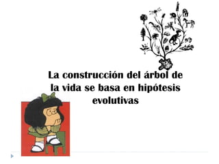 La construcción del árbol de
la vida se basa en hipótesis
evolutivas
 