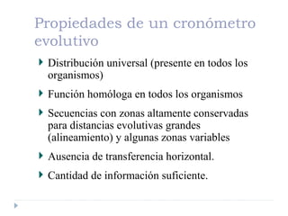 Propiedades de un cronómetro
evolutivo
Distribución universal (presente en todos los
organismos)
Función homóloga en todos los organismos
Secuencias con zonas altamente conservadas
para distancias evolutivas grandes
(alineamiento) y algunas zonas variables
Ausencia de transferencia horizontal.
Cantidad de información suficiente.
 