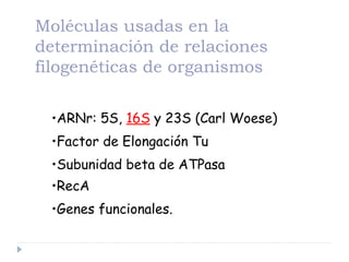 •ARNr: 5S, 16S y 23S (Carl Woese)
•Factor de Elongación Tu
•Subunidad beta de ATPasa
•RecA
•Genes funcionales.
Moléculas usadas en la
determinación de relaciones
filogenéticas de organismos
 