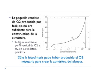  La pequeña cantidad
de O2 producido por
fotólisis no era
suficiente para la
construcción de la
atmósfera.
 La figura muestra el
perfil vertical de O2 e
H2 en la atmósfera
primitiva
Sólo la fotosíntesis pudo haber producido el O2
necesario para crear la atmósfera del planeta.
 