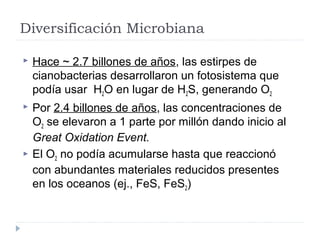 Diversificación Microbiana
 Hace ~ 2.7 billones de años, las estirpes de
cianobacterias desarrollaron un fotosistema que
podía usar H2O en lugar de H2S, generando O2
 Por 2.4 billones de años, las concentraciones de
O2 se elevaron a 1 parte por millón dando inicio al
Great Oxidation Event.
 El O2 no podía acumularse hasta que reaccionó
con abundantes materiales reducidos presentes
en los oceanos (ej., FeS, FeS2)
 