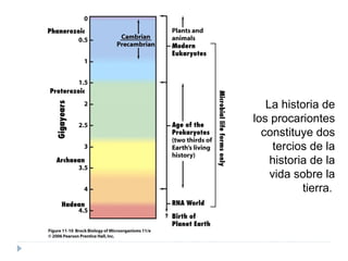 La historia de
los procariontes
constituye dos
tercios de la
historia de la
vida sobre la
tierra.
 