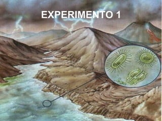 EXPERIMENTO 1 