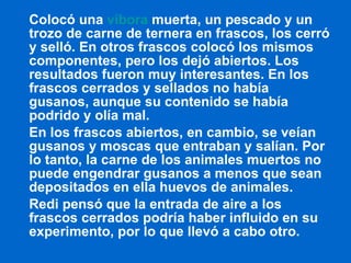 Colocó una  víbora  muerta, un pescado y un trozo de carne de ternera en frascos, los cerró y selló. En otros frascos colocó los mismos componentes, pero los dejó abiertos. Los resultados fueron muy interesantes. En los frascos cerrados y sellados no había gusanos, aunque su contenido se había podrido y olía mal. En los frascos abiertos, en cambio, se veían gusanos y moscas que entraban y salían. Por lo tanto, la carne de los animales muertos no puede engendrar gusanos a menos que sean depositados en ella huevos de animales. Redi pensó que la entrada de aire a los frascos cerrados podría haber influido en su experimento, por lo que llevó a cabo otro. 