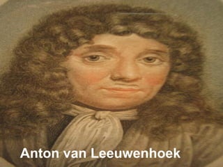 Anton van Leeuwenhoek 