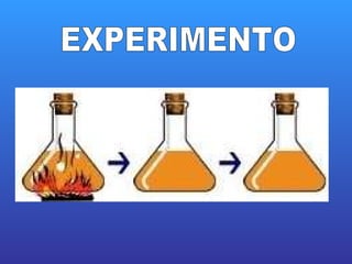 EXPERIMENTO 