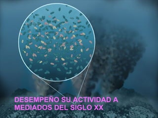 DESEMPEÑO SU ACTIVIDAD A MEDIADOS DEL SIGLO XX 