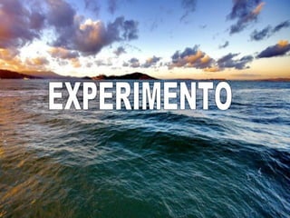 EXPERIMENTO 