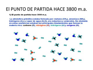 El PUNTO DE PARTIDA HACE 3800 m.a.
    La atmósfera primitiva estaba formada por metano
    (CH4) y vapor de agua (H2O) , era reductora y
    anaerobia,. No obstante en estas primeras sustancias
    estaban los bioelementos que formaban la materia
    viva: carbono © hidrogeno ( H) y oxígeno ( O )
 