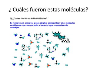 ¿ Cuáles fueron estas moléculas?




  Se formaron así, azúcares, grasas simples, aminoácidos y otras
  moléculas sencillas que reaccionaron entre sí, para dar lugar a
  moléculas más complejas
 