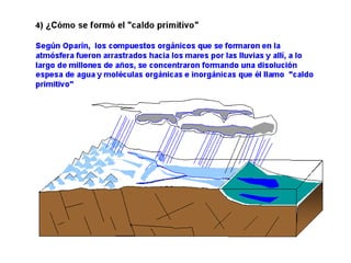 ¿Cómo se formó el caldo primitivo?




Según Oparin los compuestos orgánicos que se formaron en la atmósfera fueron
arrastrados hacia los mares por las lluvias y allí, a lo largo de millones de años se
concentraron formando una disolución espesa de agua y moléculas orgánicas e
inorganicas a las que llamó caldo primitivo
 