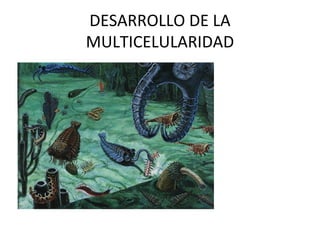 DESARROLLO DE LA
MULTICELULARIDAD
 
