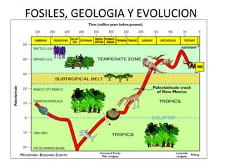 FOSILES, GEOLOGIA Y EVOLUCION
 