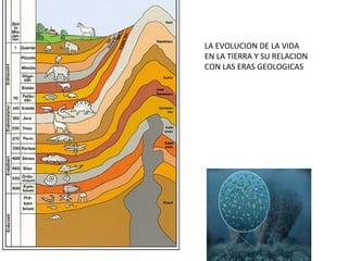 LA EVOLUCION DE LA VIDA
EN LA TIERRA Y SU RELACION
CON LAS ERAS GEOLOGICAS
 