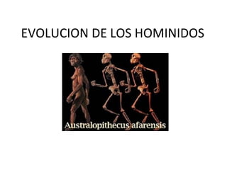 EVOLUCION DE LOS HOMINIDOS
 