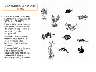 DESARROLLO DE LA VIDA EN LA
             TIERRA


•   LA VIDA SOBRE LA TIERRA
    SE ORIGINO HACE MAS DE
    3500 m.a. DE AÑOS
•   Esto se sabe pues porque
    se han descubierto fósiles
    de organismos procariotas
     en rocas con esa
    antigüedad.
•   Los seres primitivos que
    existían hace 3500 m.a.
    eran similares a las
    bacterias mas primitivas
    actuales.
•   En estos 3600 m.a. la vida
    se ha desarrollado
    ocupando todo el planeta
    y diversificándose en
    muchos grupos y especies.
 